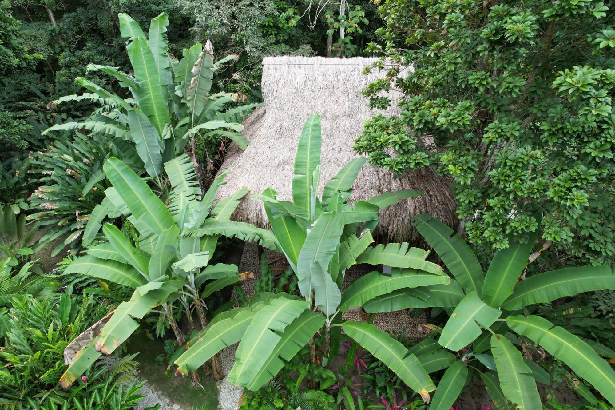 Salvia Madre Ξενοδοχείο Guachaca Εξωτερικό φωτογραφία