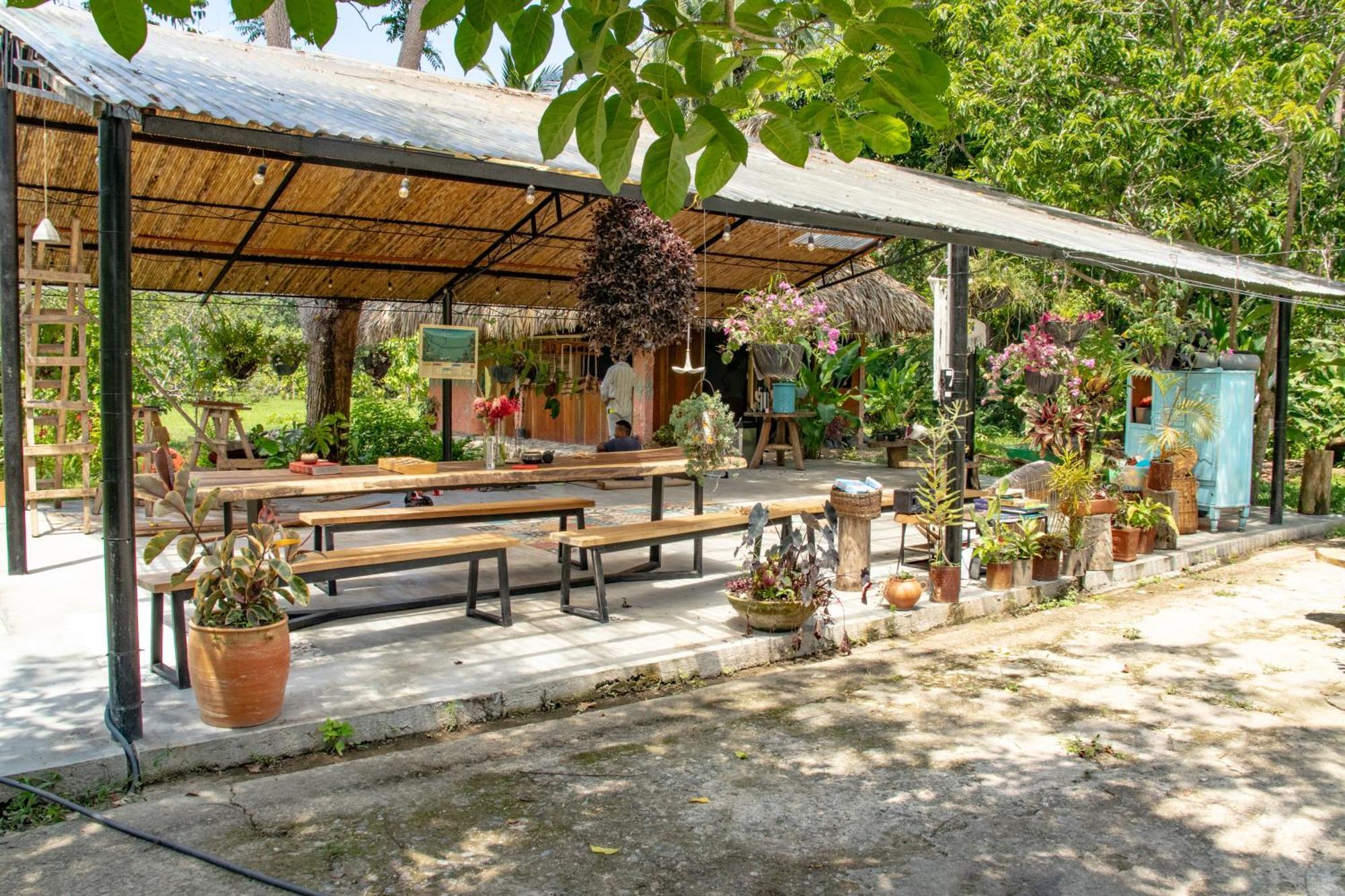 Salvia Madre Ξενοδοχείο Guachaca Εξωτερικό φωτογραφία